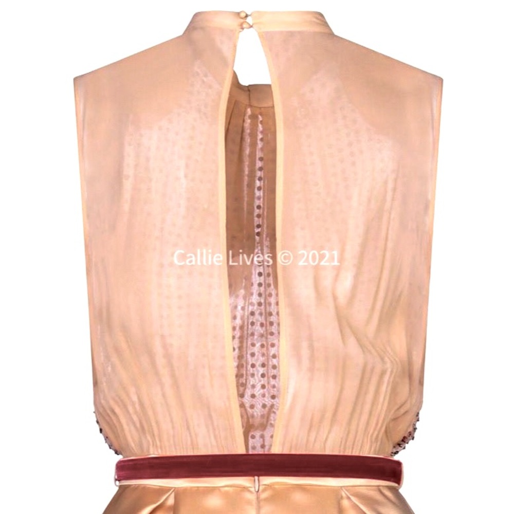 Callie Sequin & Satin: Elisabetta Franchi Dress - Picture 4 of 6
